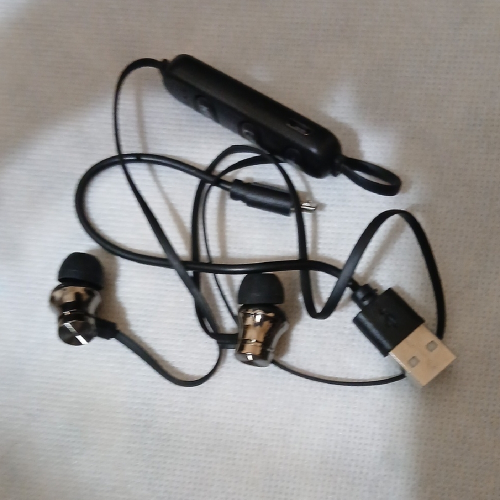 Black and Silver Wired Earbuds